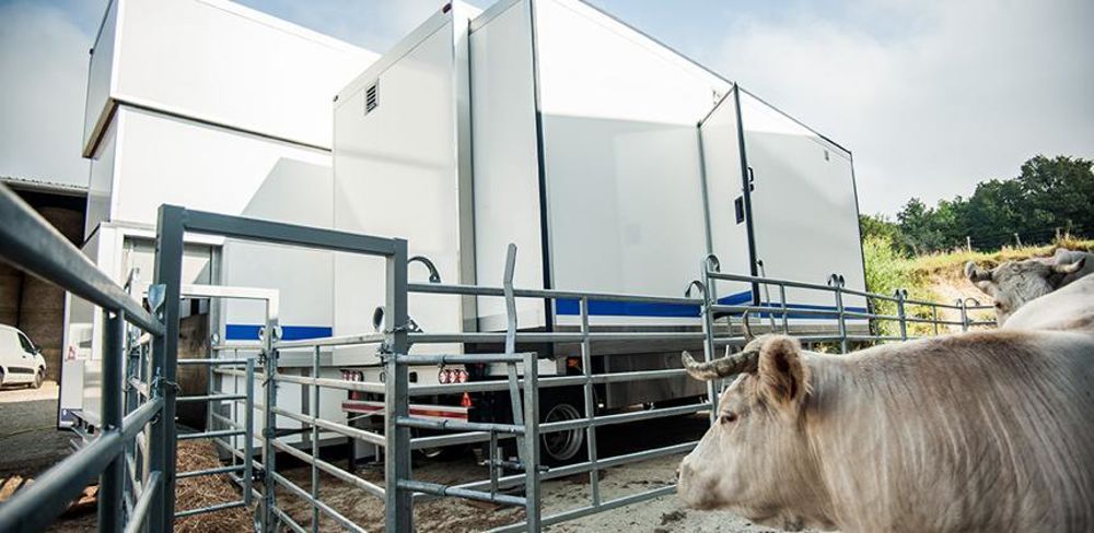 L’abattoir mobile en test en Côte-d’Or est une copie conforme d’un équipement qui fonctionne déjà depuis quelques années en Suède. © Thomas Journot. L’abattoir mobile en test en Côte-d’Or est une copie conforme d’un équipement qui fonctionne déjà depuis quelques années en Suède. © Thomas Journot.